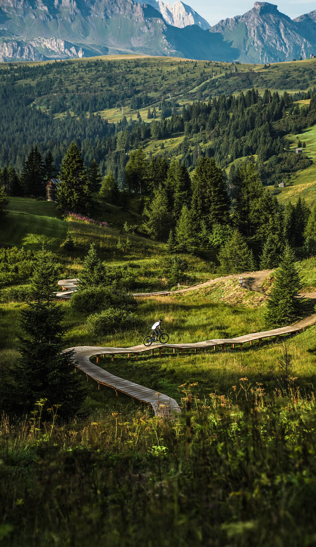 Bike Beats Parchi Movimënt estate