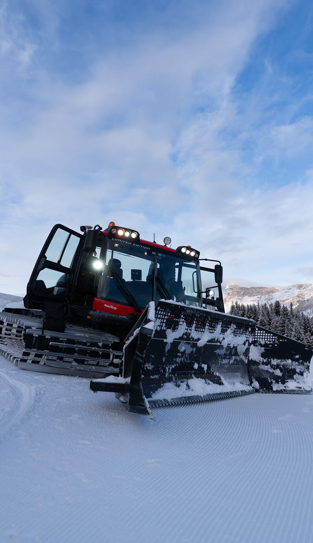 Parchi Movimënt inverno